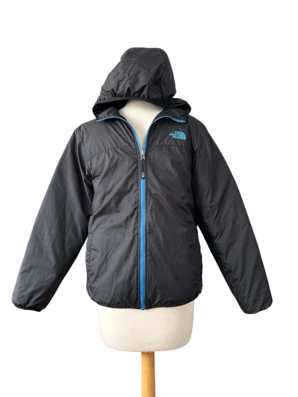 The North Face Kids Black Hooded Puffer with Blue Accents - Reversible